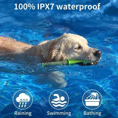 Waterproof Remote Dog Training Collar with Beep, Vibration and Shock Modes
