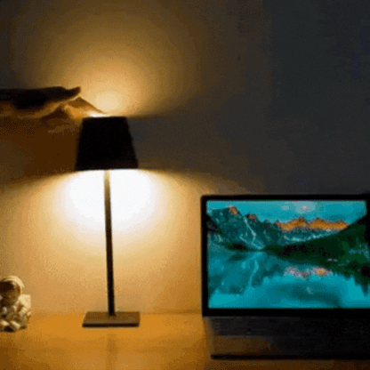 Wireless Rechargeable LED Table Lamp with Touch Control and Three Brightness Levels